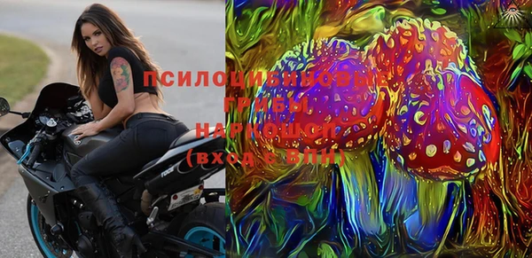 тгк Абинск