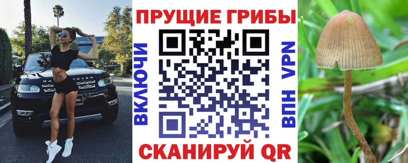 Псилоцибиновые грибы мухоморы  купить наркотики сайты  Барнаул 